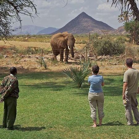 Ashnil Samburu Camp Hotel Exterior foto