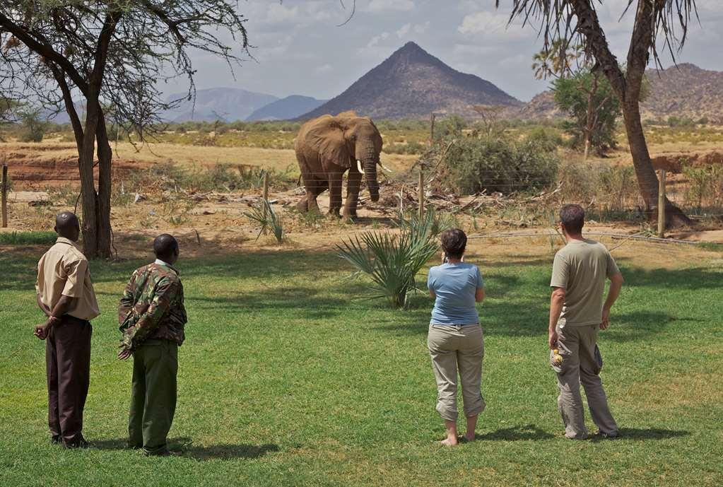 Ashnil Samburu Camp Hotel Exterior foto