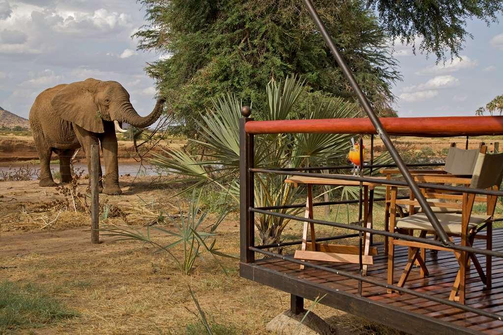 Ashnil Samburu Camp Hotel Exterior foto