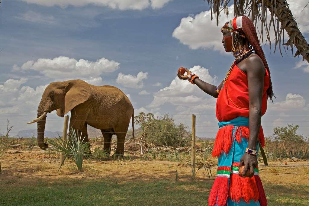 Ashnil Samburu Camp Hotel Instalações foto