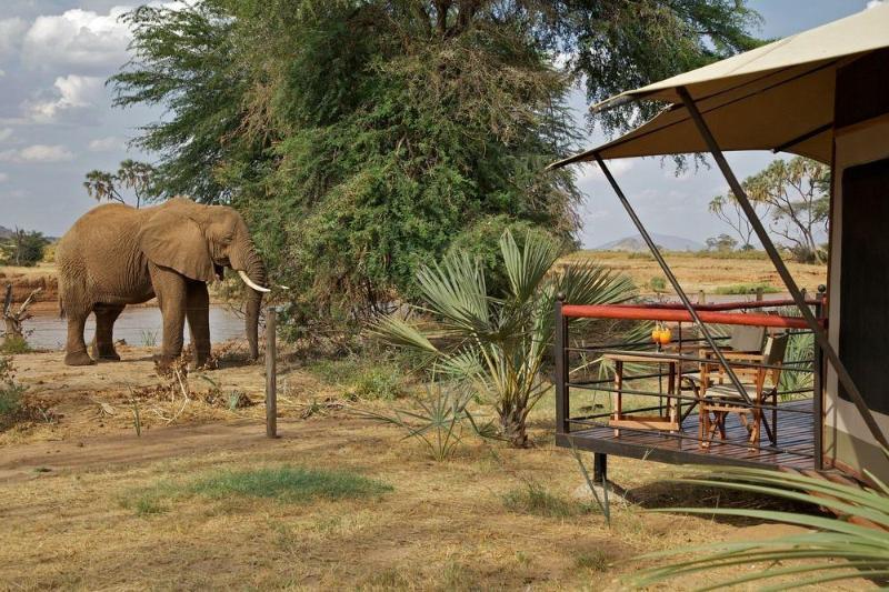 Ashnil Samburu Camp Hotel Exterior foto