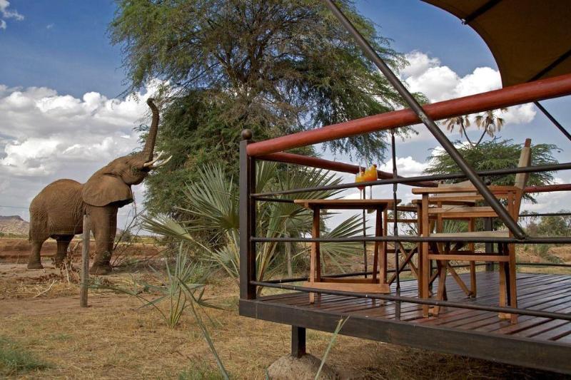 Ashnil Samburu Camp Hotel Exterior foto